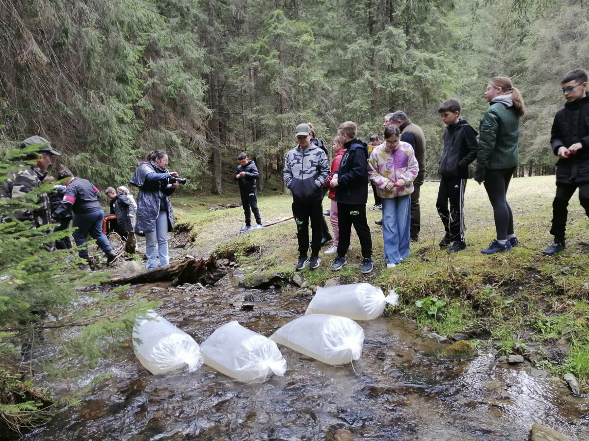 Pisztrángot telepítettek a kis horgászok